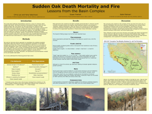 Sudden Oak Death Mortality and Fire Lessons from the Basin Complex