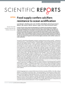 Food supply confers calcifiers resistance to ocean acidification