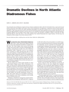 Dramatic Declines in North Atlantic Diadromous Fishes Articles