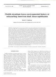 Alosa sapidissima Otolith strontium traces environmental history subyearling American shad of