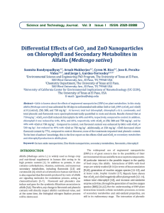 Differential	Effects	of	CeO and	ZnO	Nanoparticles on	Chlorophyll	and	Secondary	Metabolites	in Medicago	sativa
