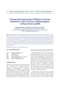 Cloning and Sequencing of Methyl-coenzyme Reductase A (mcrA) Gene of Methanogenic