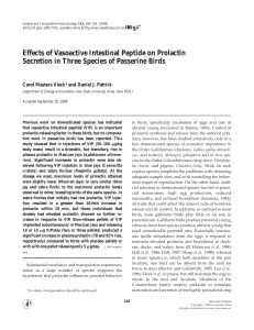 Effects of Vasoactive Intestinal Peptide on Prolactin Carol Masters Vleck