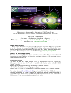 Plasmasphere Magnetosphere Interactions (PMI) Focus Group 2011 Focus Group Report