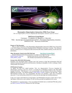 Plasmasphere Magnetosphere Interactions (PMI) Focus Group 2010 Focus Group Report