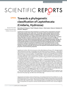 Towards a phylogenetic classification of Leptothecata (Cnidaria, Hydrozoa)