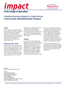 impact Corn Gene Identification Project of the College of Agriculture