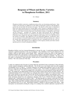 Response of Wheat and Barley Varieties to Phosphorus Fertilizer, 2011  Summary