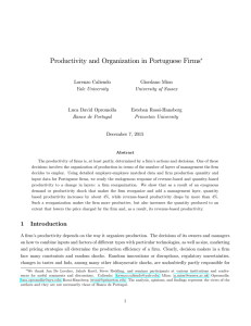 Productivity and Organization in Portuguese Firms