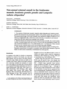 Non-annual external annuli in the freshwater radiata siliquoidea*
