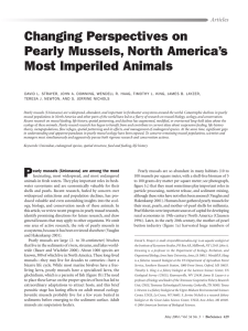 Changing Perspectives on Pearly Mussels, North America’s Most Imperiled Animals Articles