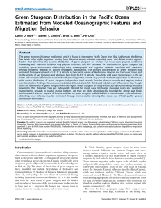 Green Sturgeon Distribution in the Pacific Ocean Migration Behavior