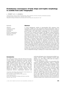 Evolutionary convergence of body shape and trophic morphology