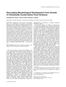 Decoupling Morphological Development From Growth in Periodically Cooled Zebra Finch Embryos