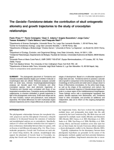 The Gavialis--Tomistoma debate: the contribution of skull ontogenetic