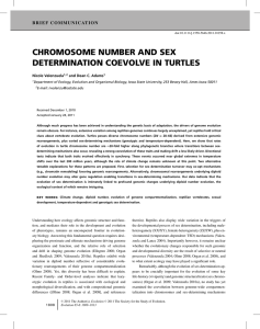 CHROMOSOME NUMBER AND SEX DETERMINATION COEVOLVE IN TURTLES Nicole Valenzuela