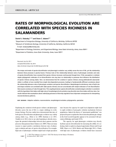 RATES OF MORPHOLOGICAL EVOLUTION ARE CORRELATED WITH SPECIES RICHNESS IN SALAMANDERS