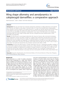 Wing shape allometry and aerodynamics in calopterygid damselflies: a comparative approach