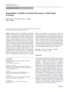 Repeatability of Habitat-Associated Divergence in Shell Shape of Turtles Gabriel Rivera