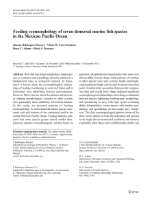 Feeding ecomorphology of seven demersal marine fish species Jimena Bohórquez-Herrera