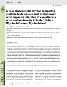 A new phylogenetic test for comparing multiple high-dimensional evolutionary