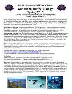 Caribbean Marine Biology Spring 2016