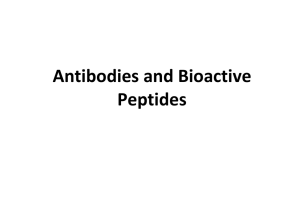 Antibodies and Bioactive  Peptides