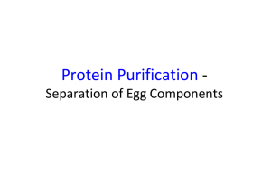 Protein Purification  ‐  Separation of Egg Components