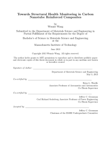 Towards Structural Health Monitoring in Carbon Nanotube Reinforced Composites
