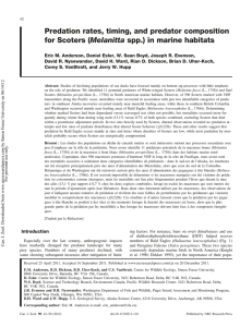 Predation rates, timing, and predator composition Melanitta spp.) in marine habitats