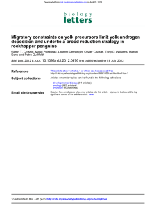 Migratory constraints on yolk precursors limit yolk androgen