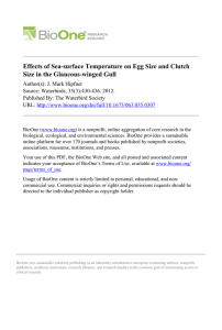 Effects of Sea-surface Temperature on Egg Size and Clutch