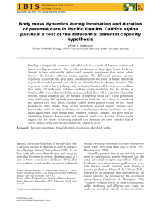 Body mass dynamics during incubation and duration