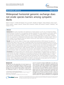 Widespread horizontal genomic exchange does not erode species barriers among sympatric ducks