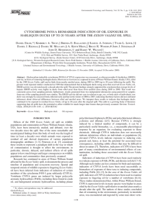 CYTOCHROME P4501A BIOMARKER INDICATION OF OIL EXPOSURE IN