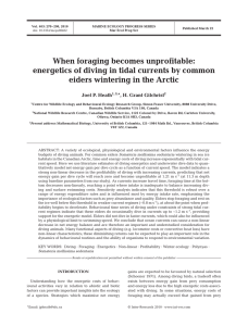 When foraging becomes unprofitable: eiders wintering in the Arctic