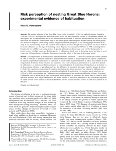 Risk perception of nesting Great Blue Herons: experimental evidence of habituation