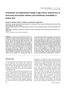 Evolutionary and experimental change in egg volume, heterochrony of