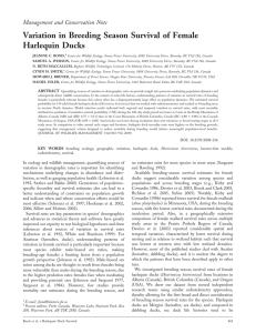 Variation in Breeding Season Survival of Female Harlequin Ducks