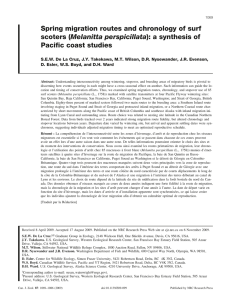 Spring migration routes and chronology of surf Melanitta perspicillata Pacific coast studies