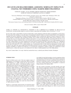 BYCATCH AND BEACHED BIRDS: ASSESSING MORTALITY IMPACTS IN