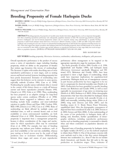 Breeding Propensity of Female Harlequin Ducks Management and Conservation Note