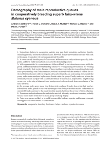 Demography of male reproductive queues in cooperatively breeding superb fairy-wrens Malurus cyaneus