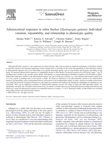 Adrenocortical responses in zebra finches (Taeniopygia guttata): Individual