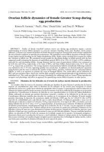 Ovarian follicle dynamics of female Greater Scaup during egg production