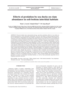 Effects of predation by sea ducks on clam Tyler L. Lewis