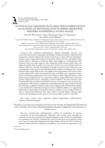 FLYWAY-SCALE VARIATION IN PLASMA TRIGLYCERIDE LEVELS