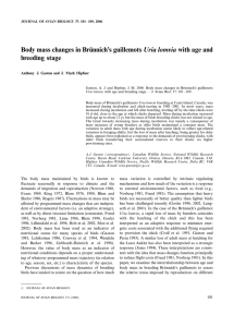 Body mass changes in Bru¨nnich’s guillemots Uria lomvia with age... breeding stage Anthony J. Gaston and J. Mark Hipfner