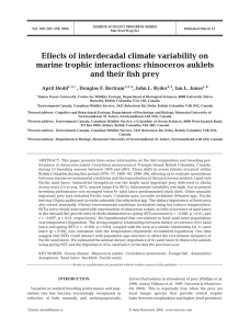 Effects of interdecadal climate variability on marine trophic interactions: rhinoceros auklets