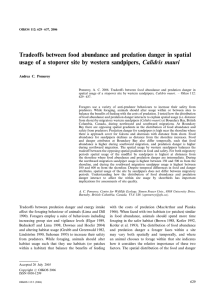 Tradeoffs between food abundance and predation danger in spatial